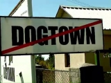 Afacerea "Dog Town" și Sorin Oprescu