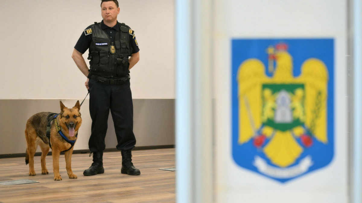 media-171810465366902500