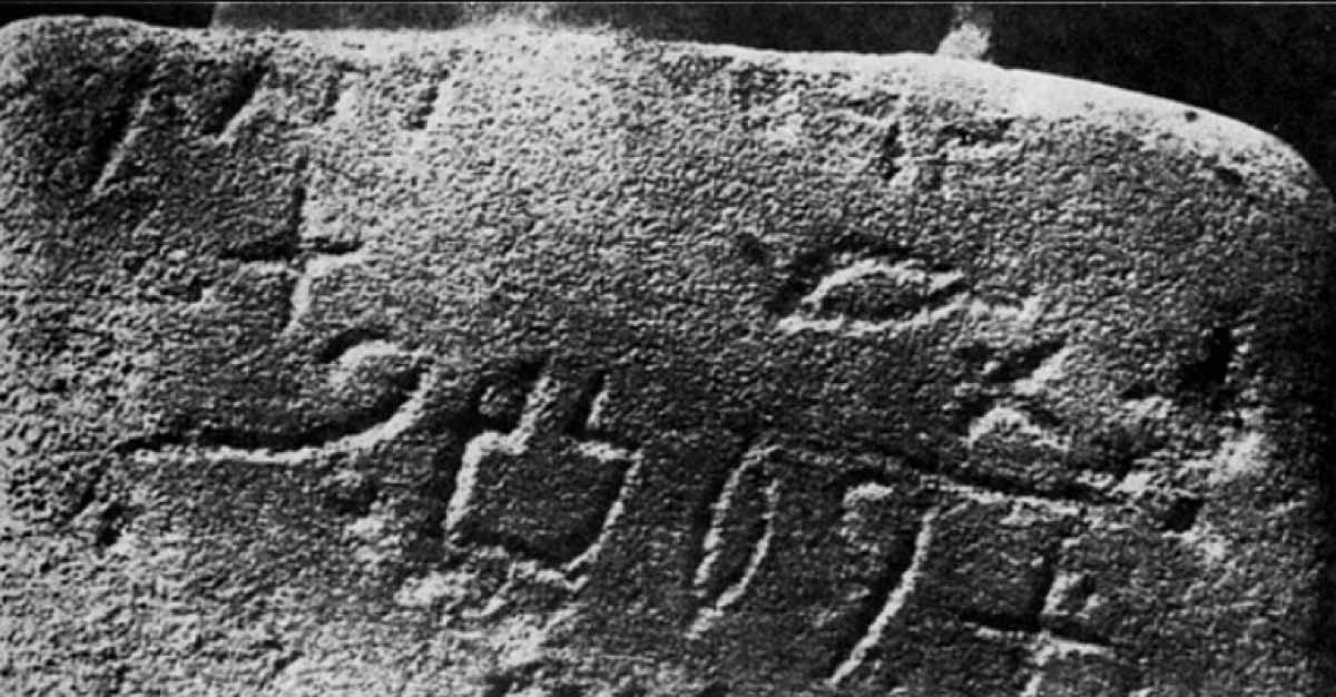 media-173219794450556300