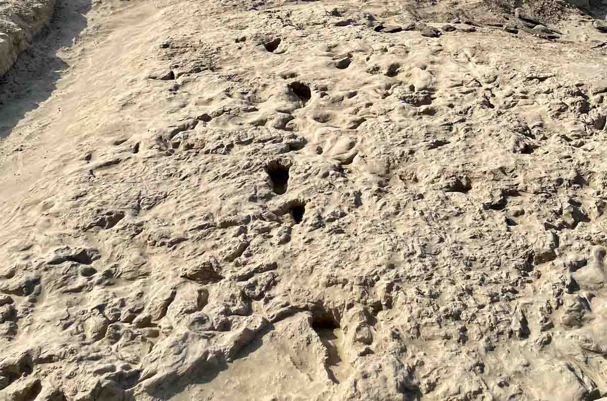 media-173282650629412400