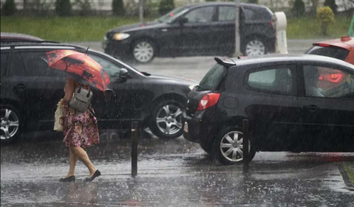 media-172762735235267600